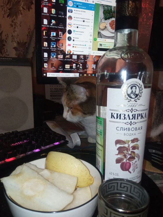 Пятничная котокартина от martincot