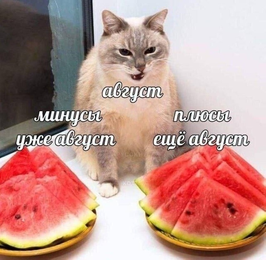 мем